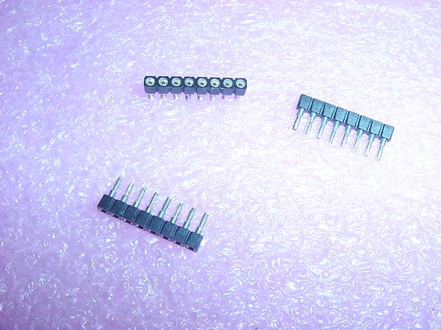 DSC03710